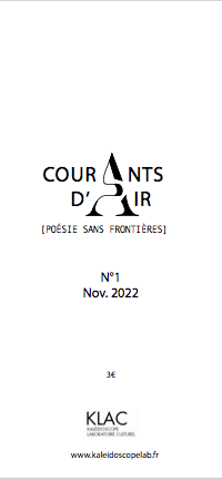 capture d’écran 2022 11 22 à 14.43.27